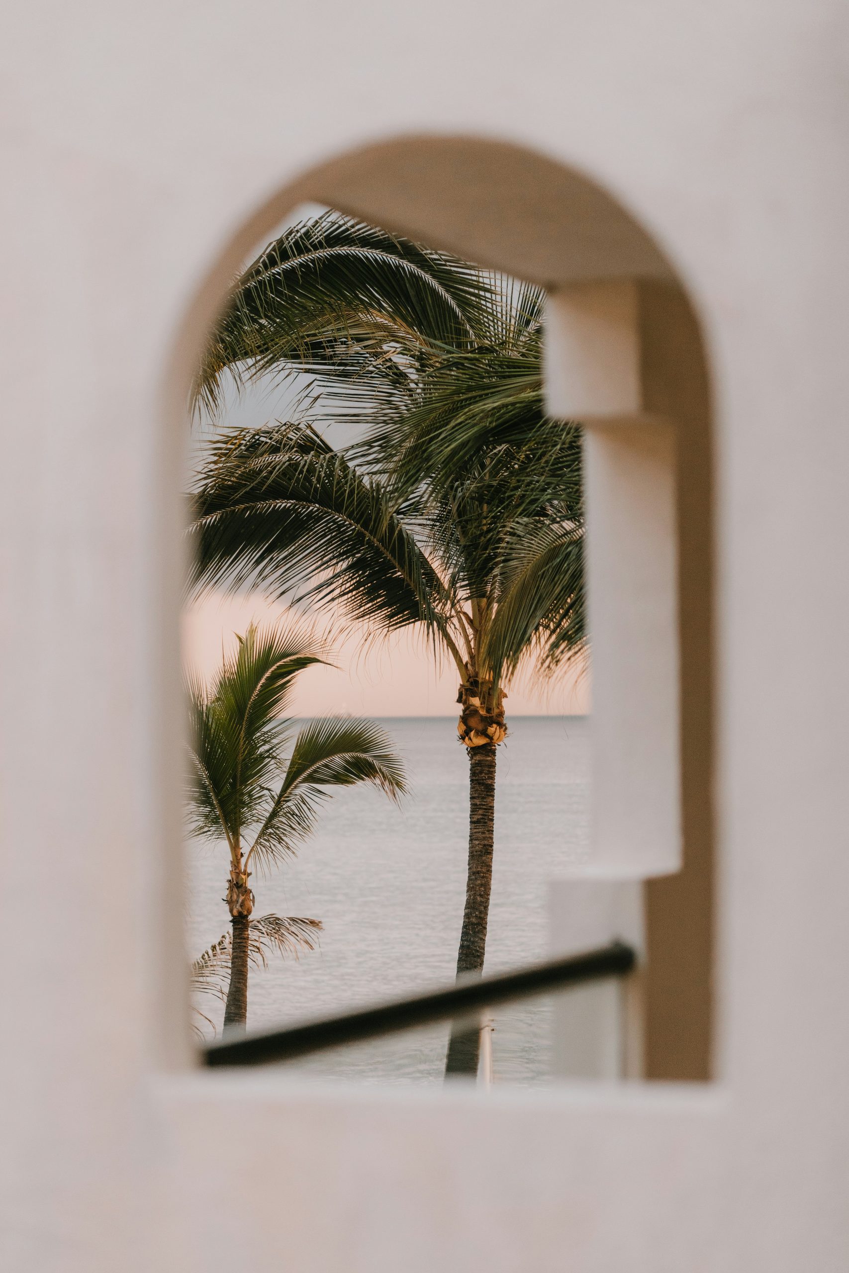 miguel hernandez MxTFmj8jWUQ unsplash